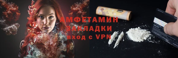 прущие грибы Абинск