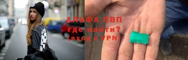 прущие грибы Абинск