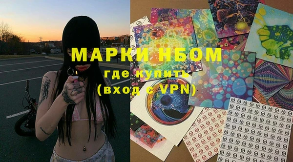 прущие грибы Абинск
