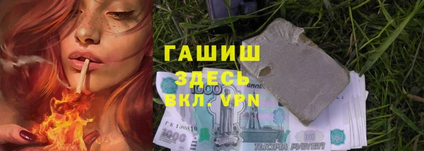 прущие грибы Абинск