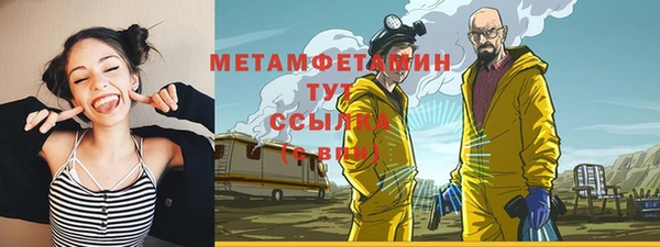 прущие грибы Абинск