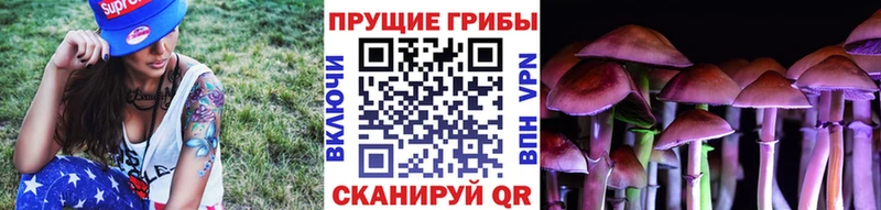 Галлюциногенные грибы мицелий  Тайга 